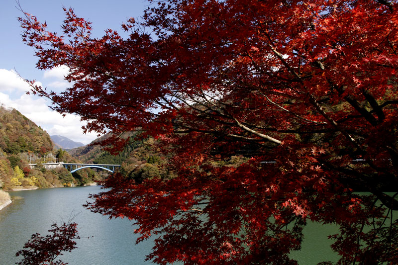 b0042837_21442092.jpg
