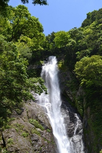b0243152_16382783.jpg