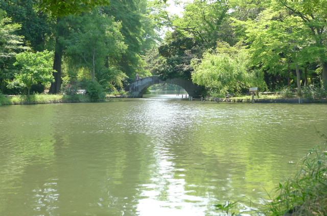a0143756_12311172.jpg