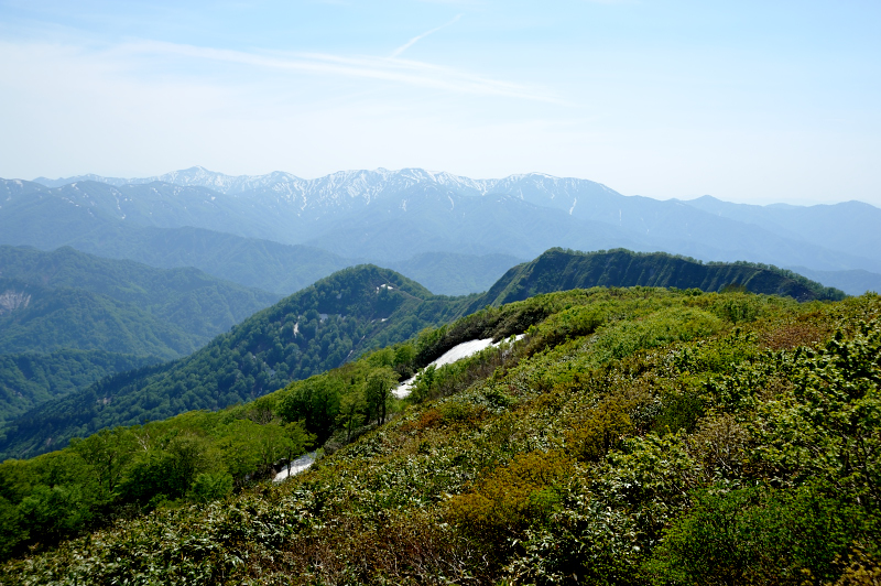 d0169556_15471555.jpg