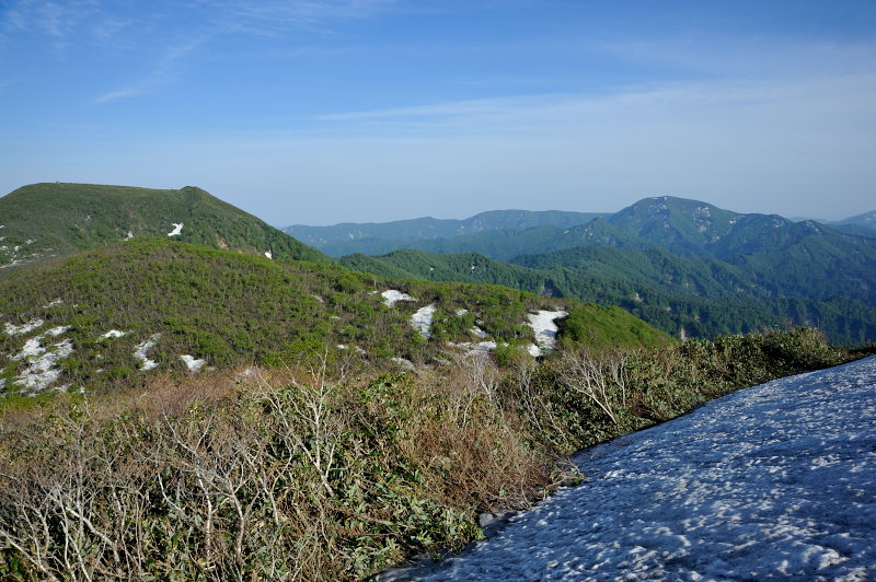 d0169556_1611387.jpg
