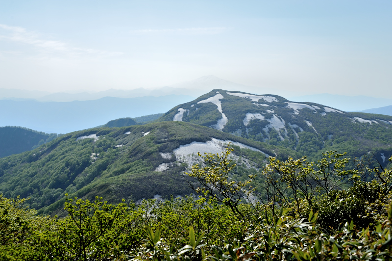 d0169556_1652556.jpg