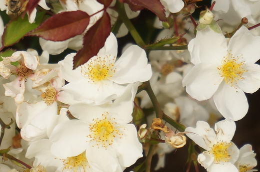 f0257756_10234.jpg