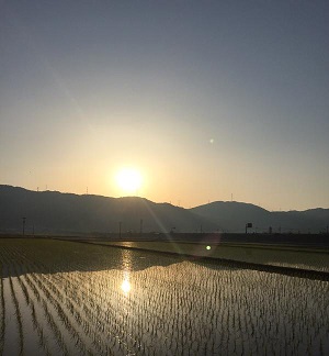 f0221360_20484753.jpg