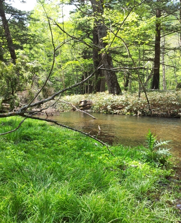 b0304662_21390135.jpg