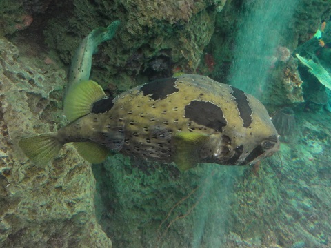 d0029363_010326.jpg