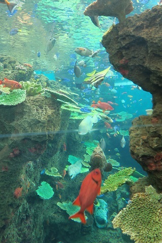 d0029363_0105125.jpg