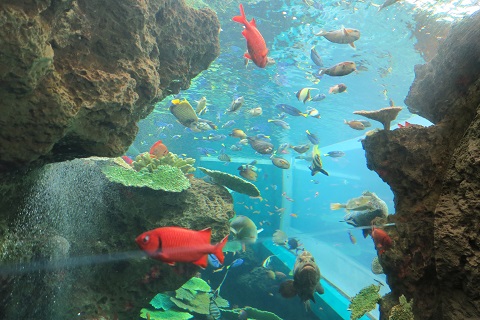 d0029363_0121681.jpg