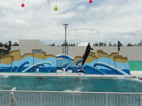 d0029363_020535.jpg