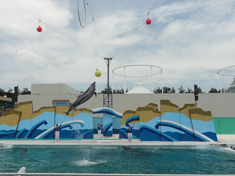 d0029363_021081.jpg