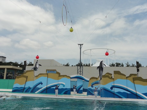 d0029363_0211413.jpg