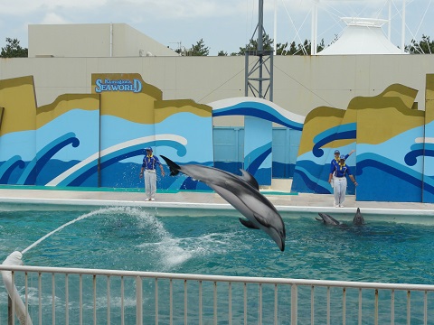 d0029363_021231.jpg