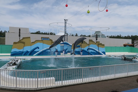 d0029363_0213426.jpg