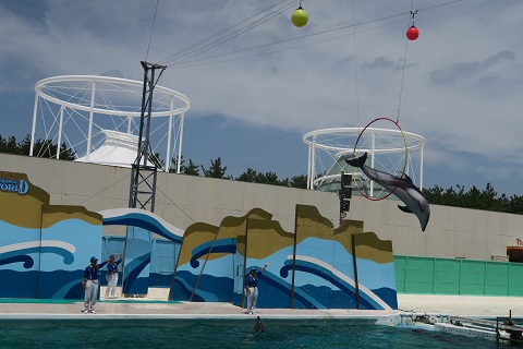 d0029363_0223469.jpg
