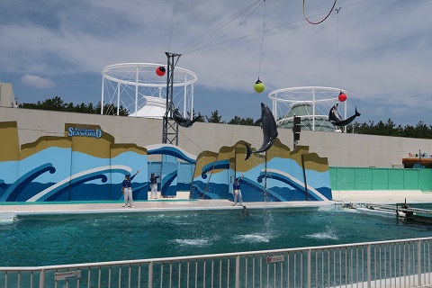 d0029363_022897.jpg