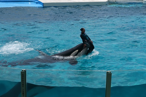 d0029363_0394644.jpg