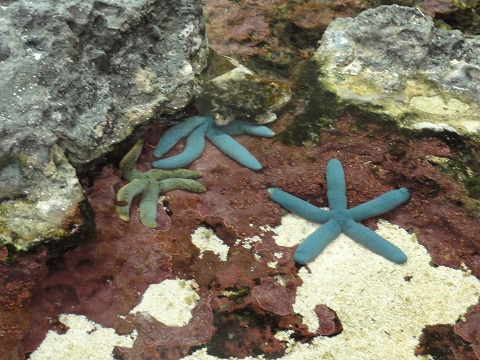 d0029363_094174.jpg