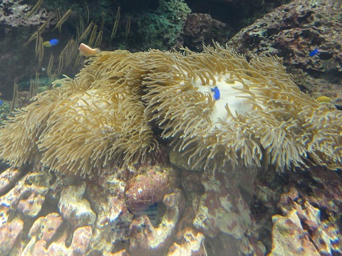 d0029363_095142.jpg