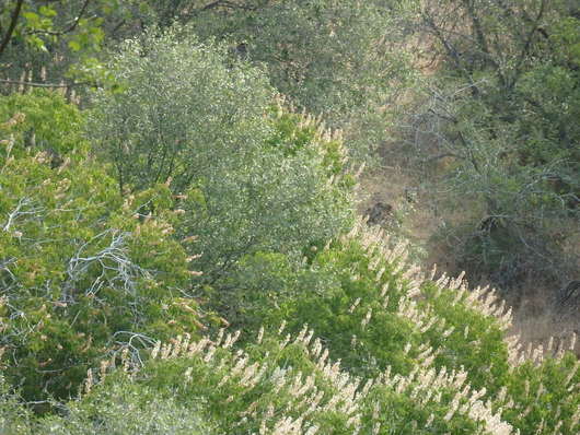 c0115366_2243811.jpg