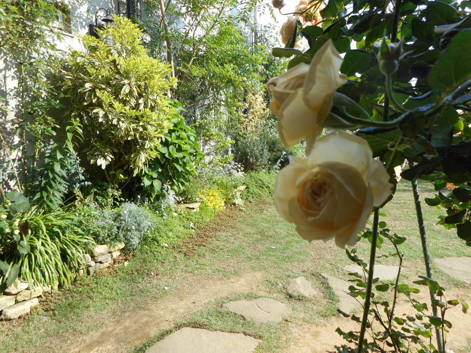 c0336266_14280002.jpg