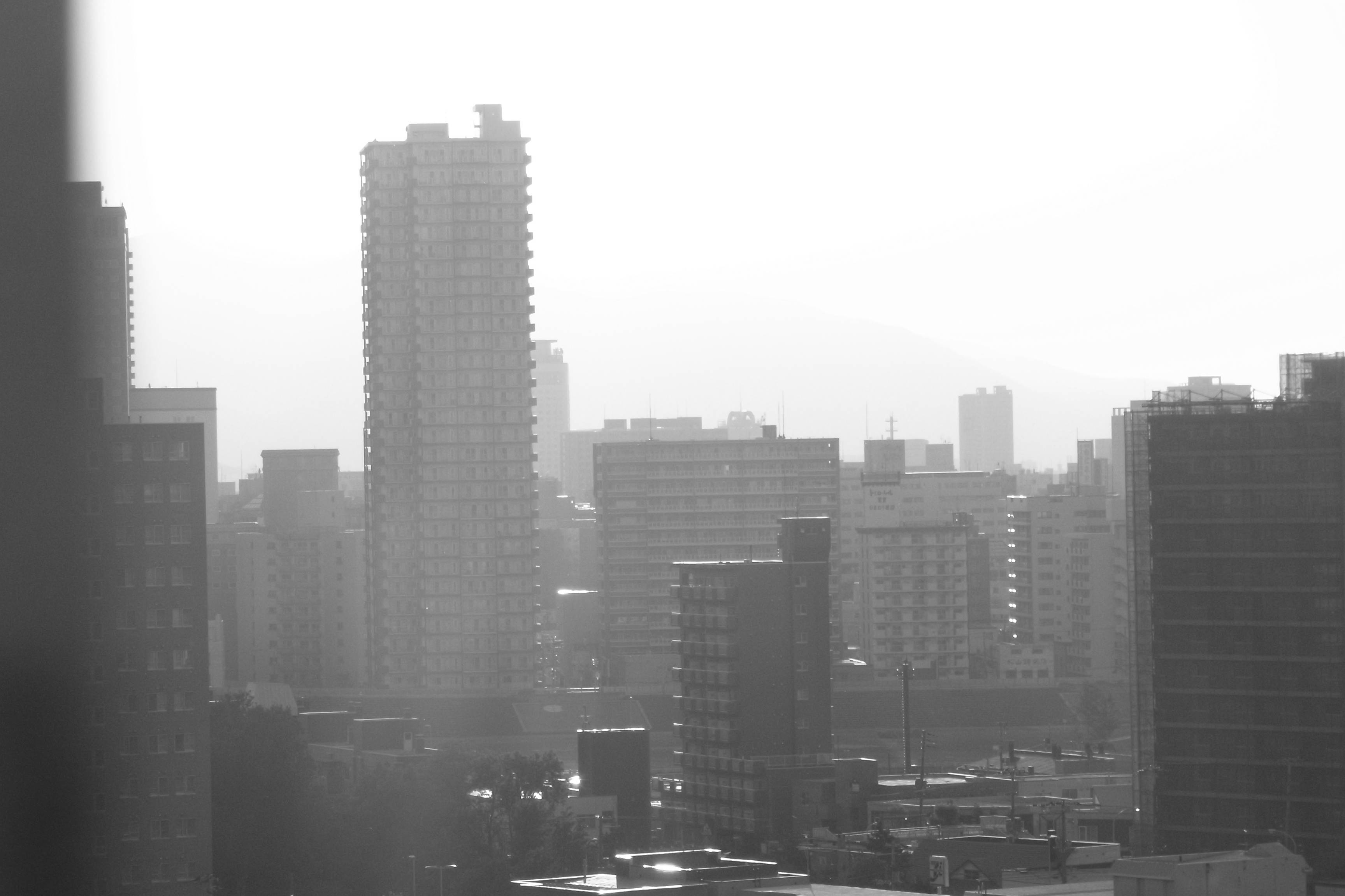 c0064668_22552227.jpg