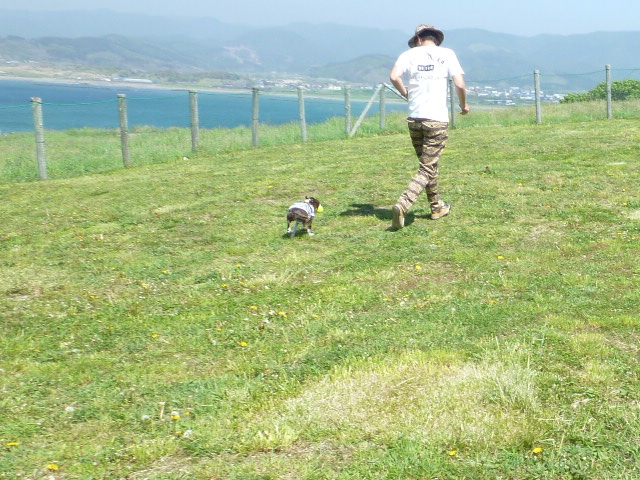 c0266868_1143733.jpg