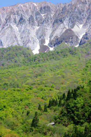 e0045768_223634.jpg