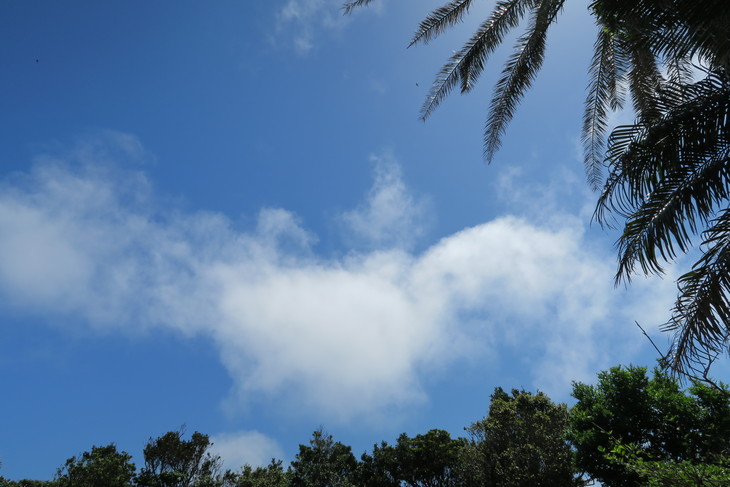 e0292172_21223100.jpg