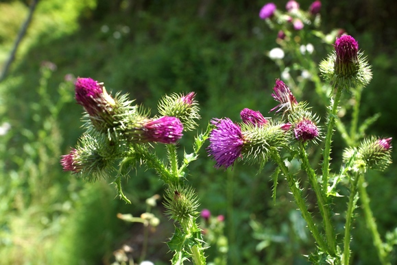c0248473_20451395.jpg