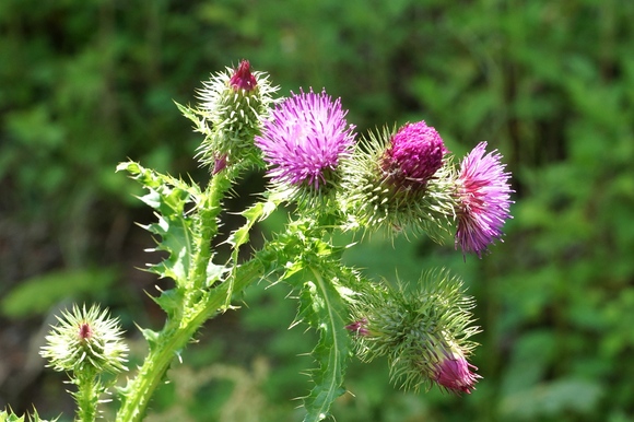 c0248473_20453199.jpg