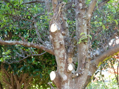f0054677_05064411.jpg