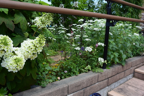 b0230589_22192115.jpg