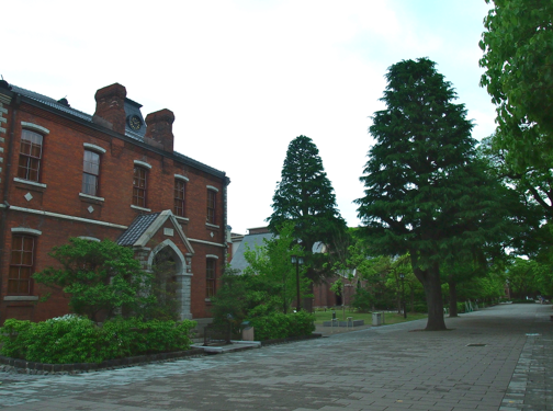 a0146493_1332851.png