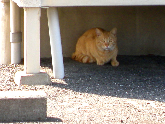 a0199297_23223596.jpg