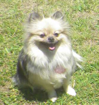f0077697_15101927.jpg