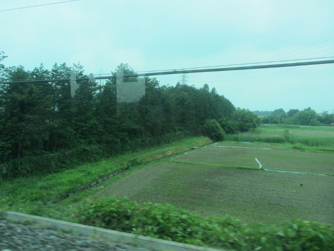 e0033301_21253248.jpg
