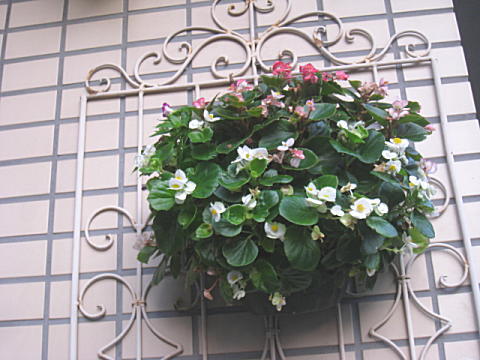 d0046702_2222999.jpg