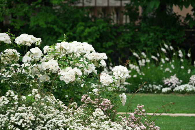 a0263109_1551472.jpg
