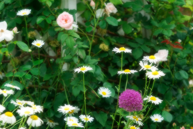 a0263109_1574072.jpg