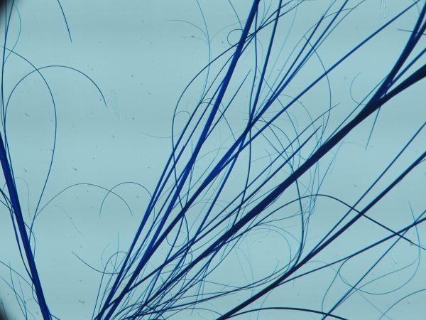 c0164709_21221692.jpg