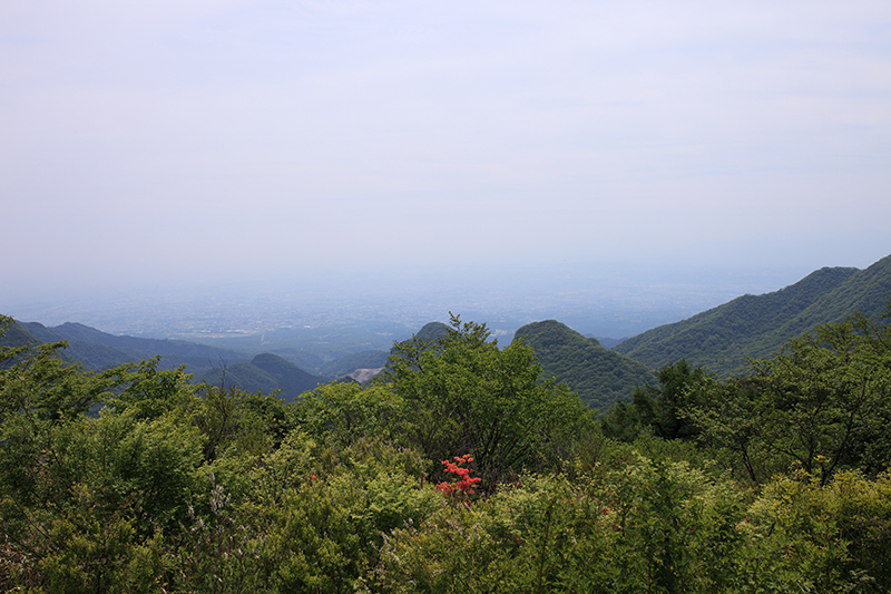c0369219_19165226.jpg