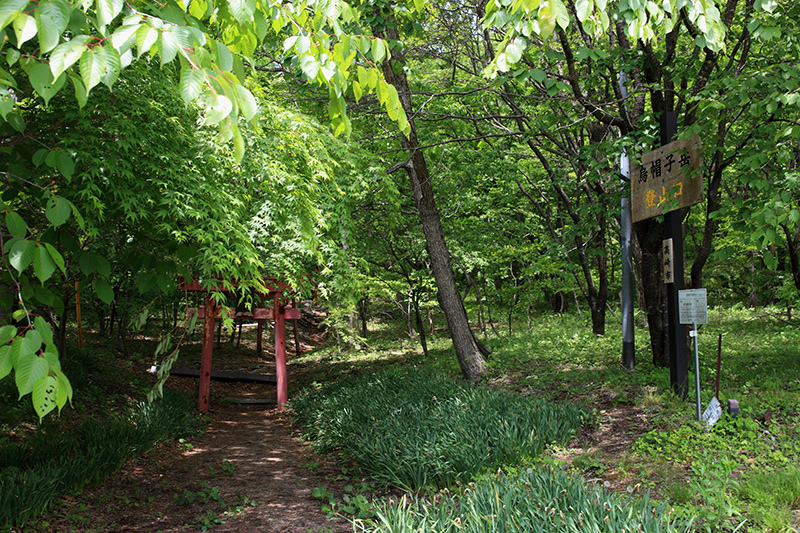 c0369219_20360857.jpg