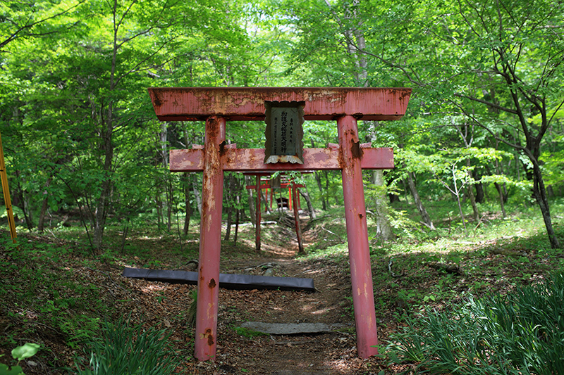 c0369219_20492927.jpg