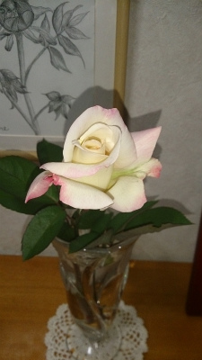 b0128423_21395031.jpg