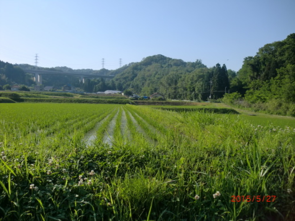 d0181824_11255459.jpg