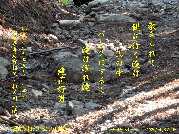 e0033229_919554.jpg