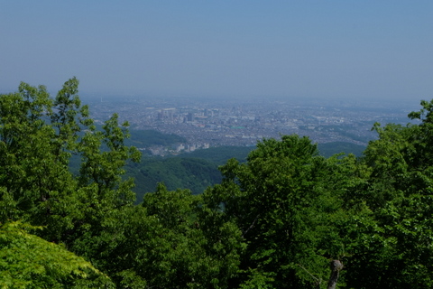 b0281732_8494562.jpg