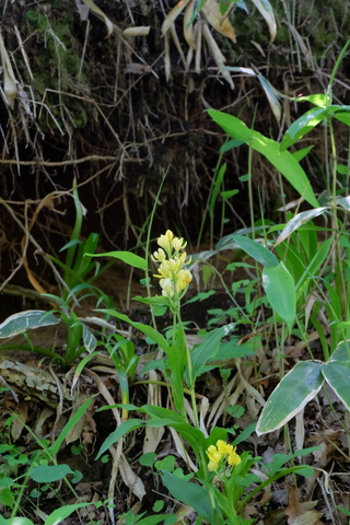 b0281732_8495259.jpg