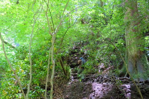 b0281732_8501924.jpg