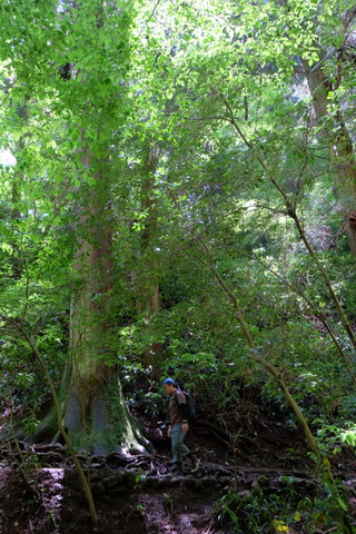 b0281732_8502734.jpg